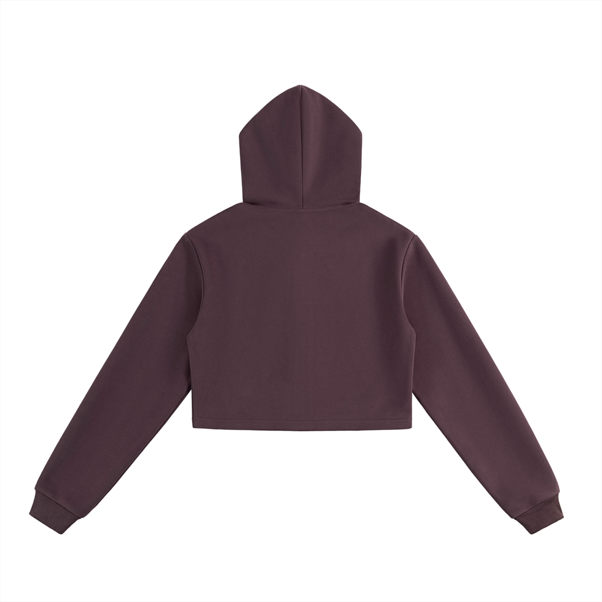 crop,hoodie,womens,winter,fall,clothing,sweatsuit,sweartshirt